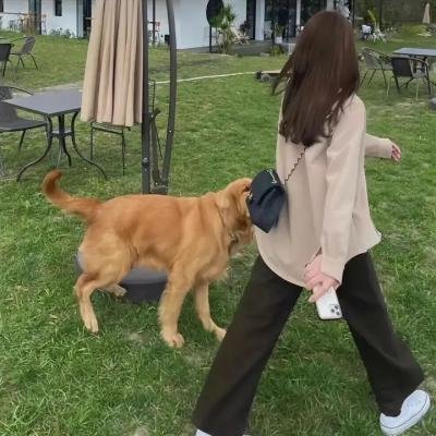 向左爱·向右爱